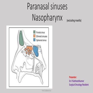 PARANASAL SINUS AND NASOPHARYNX.pptx