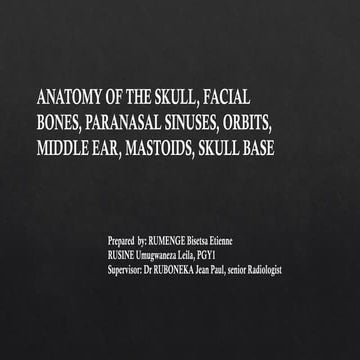Comprehensive Anatomy and Imaging of Skull, Facial Bones, and Related ...