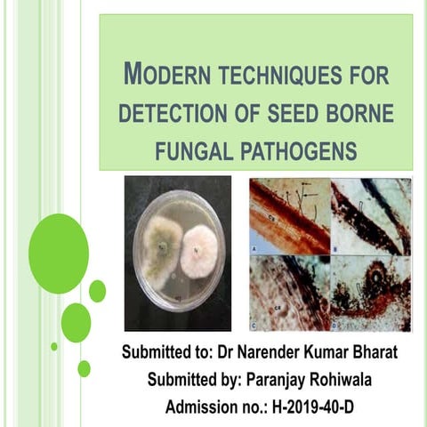 Modern Techniques for Detection of Seed Born Fungi.