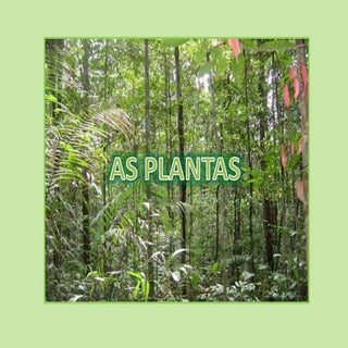 Para saber   plantas