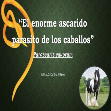 Patología Clinica Animal - Parascaris equorum-