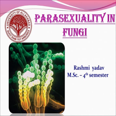 Parasexuality in fungi