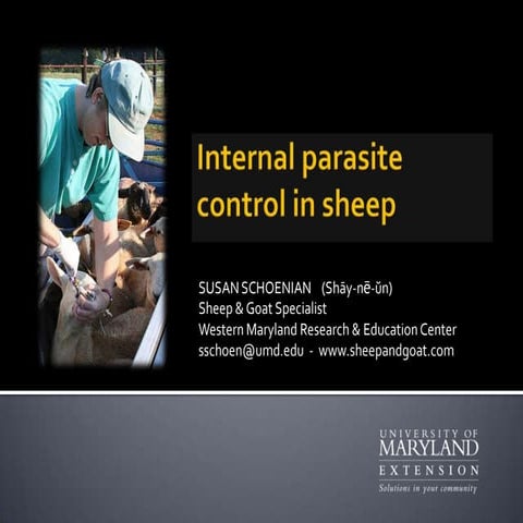 Parasite control in sheep