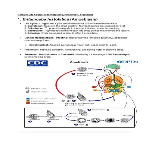Comprehensive Overview of Parasite Life Cycles, Symptoms, Prevention ...