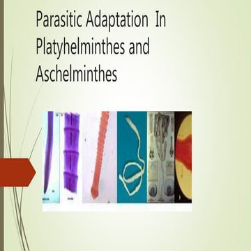 parasitic adaptation  in helminth.pptx