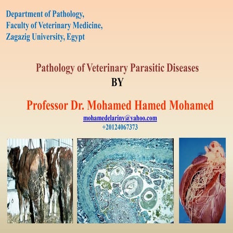 pathology of Parasitic diseases