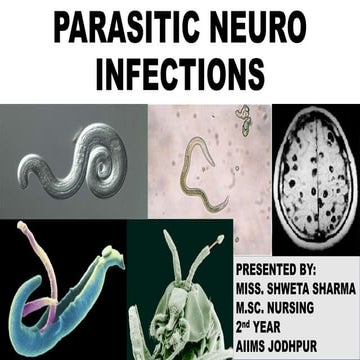 Parasitic neuro infections