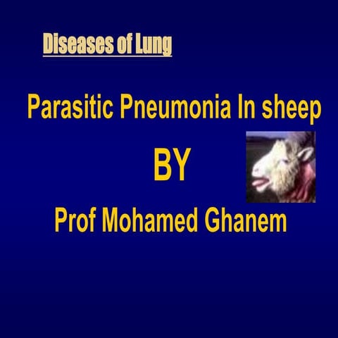 Verminous pneumonia by prof m ghanem