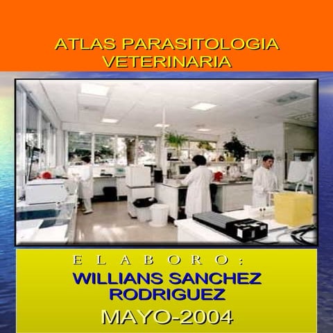 Parasito Rumiantes