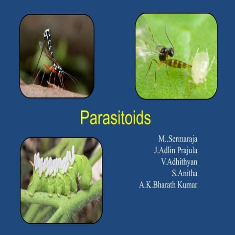 Parasitoids