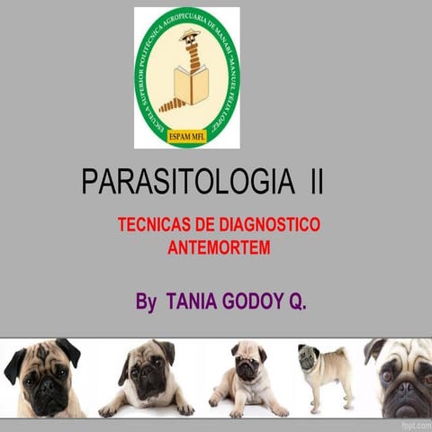 Técnicas de diagnostico de parásitos antemorten