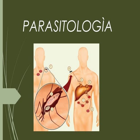 Parasitologia power point