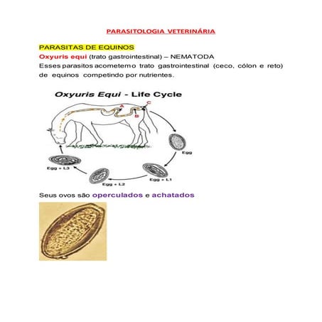Oxyuris Equi Life Cycle