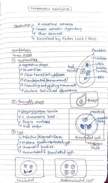 Parasitology -1 / Diarrhea causing parasite, Amoebiasis.pdf