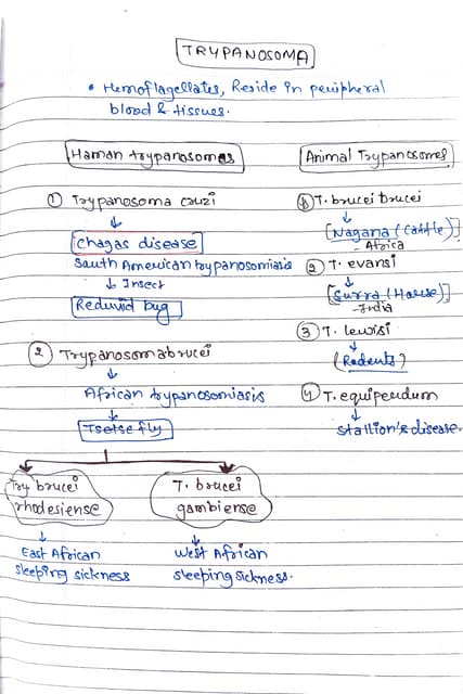 parasitology -2/ Blood Parasites #Malaria .pdf
