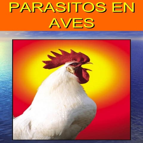 Parasitos En Aves