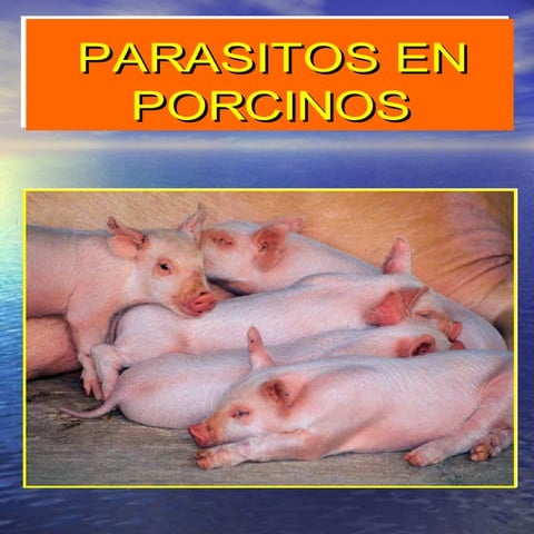 Parasitos En Porcinos