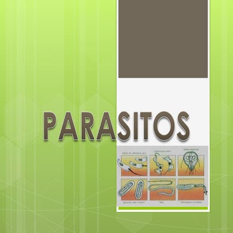 Parasitos 7 expo (1)