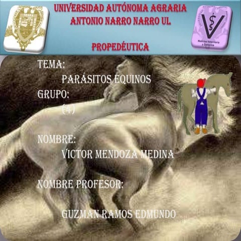 Parasitos d´ equinos (CABALLOS)