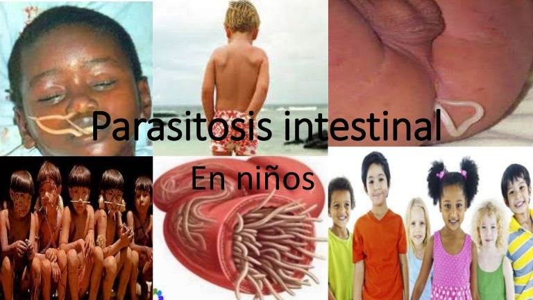 parasitos intestinales oms