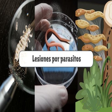 Comprehensive Overview of Cutaneous Parasitic Lesions: Scabies ...