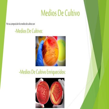 Medio de Cultivo PPT