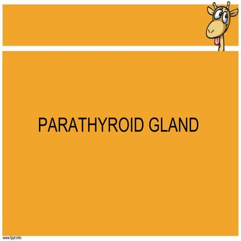 Parathyroid