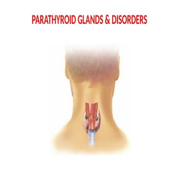 Parathyroid disorders | PPT