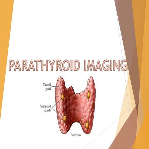 Parathyroid Imaging .pptx