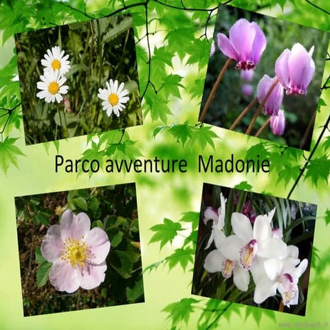 Parco avventure madonie_2011-12