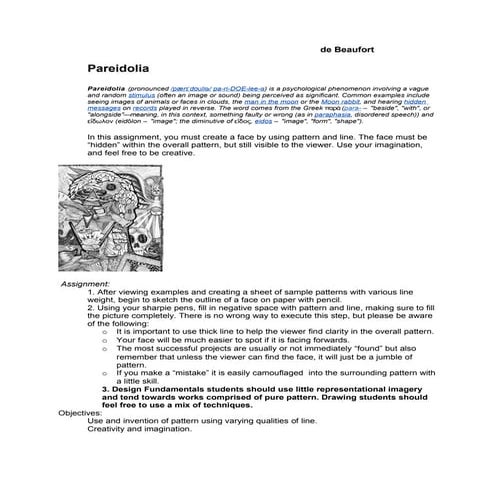 Pareidolia INSTRUCTIONS de Beaufort