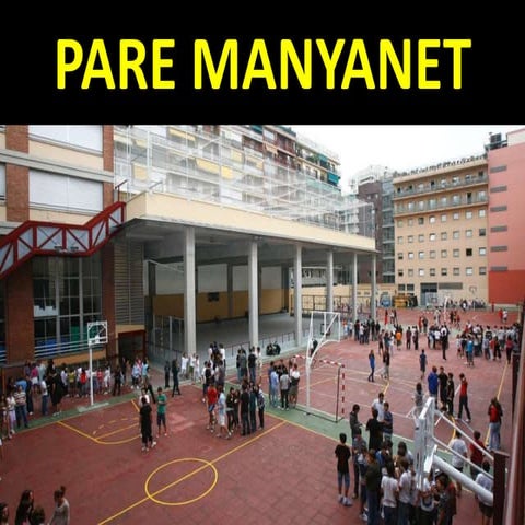 Pare manyanet definitiu
