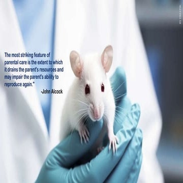 Parental Care and Nest Building in Animals: A Comprehensive Study of Reproduc...