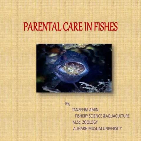 Parental care in fishes By TANZEEBA AMIN