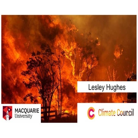 Professor Lesley Hughes - IPCC climate science briefing  event