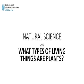 PARENT'S HELP - YEAR 3º - NATURAL SCIENCE UNIT 3 26 (1).pdf