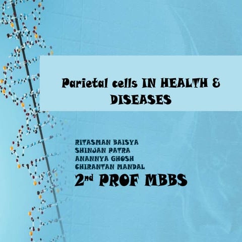 Parietal cells in health & diseases