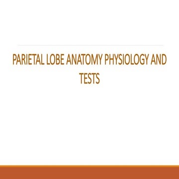 Parietal lobe functions and tests for assessment.pptx