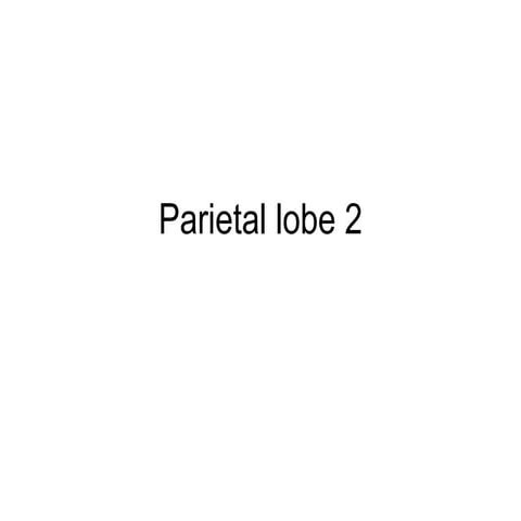 Parietal lobe.ppt