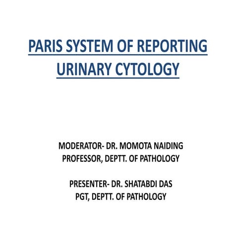 paris presentation.pptx