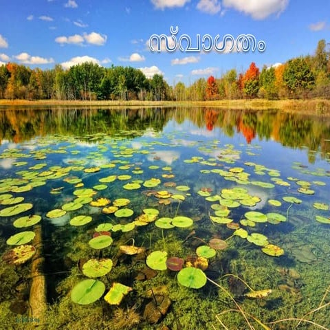 media and scientific temper