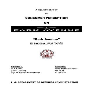 Park avenue deo project report