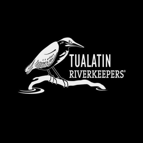 Parking Forest Stormwater Introduction