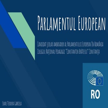 Parlamentul european  (4) (1)