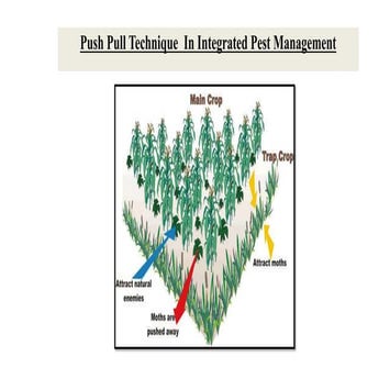 Push Pull Technique  In Integrated Pest Management 