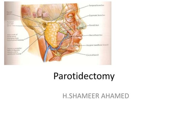Incision vs excision vs resection | PPTX