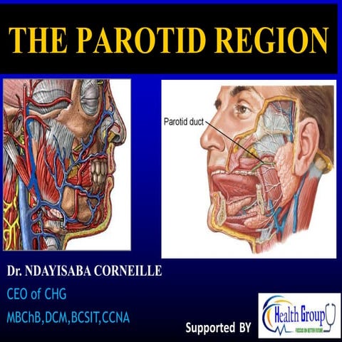 Parotid_Region.ppt