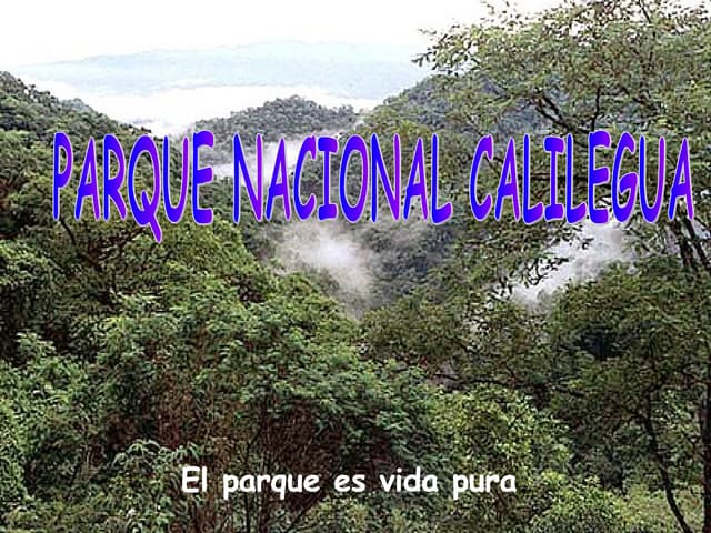 Parque Calilegua