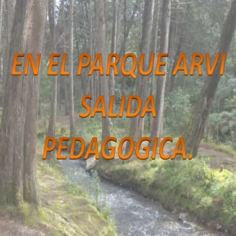Parque arvi 