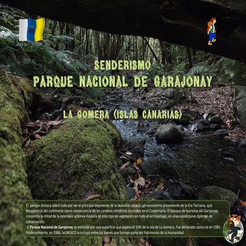 Parque Nacional de Garajonay (La Gomera) Islas Canarias.